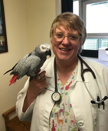 Dr. Kat